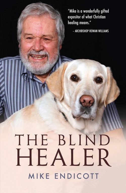 Cover of the book The Blind Healer by Mike Endicott, Lion Hudson
