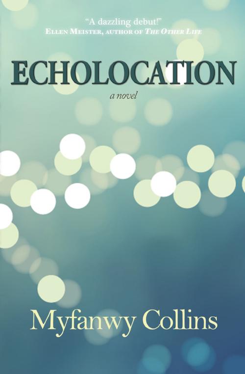 Cover of the book Echolocation by Myfanwy Collins, Engine Books