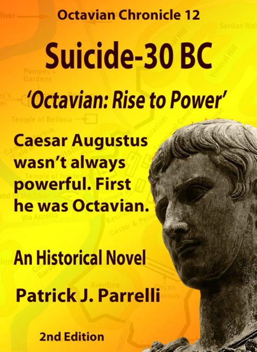 Cover of the book 12 Suicide - 30 BC by Patrick Parrelli, APN