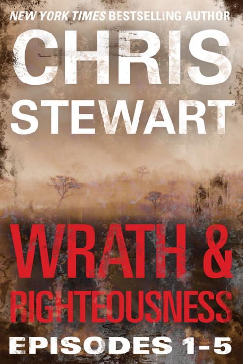 Cover of the book Wrath & Righteousness by Chris Stewart, Mercury Ink