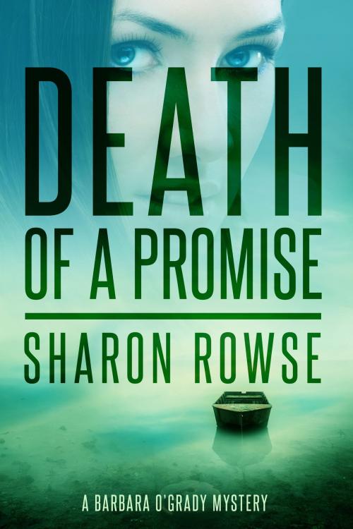 Cover of the book Death of a Promise by Sharon Rowse, Three Cedars Press