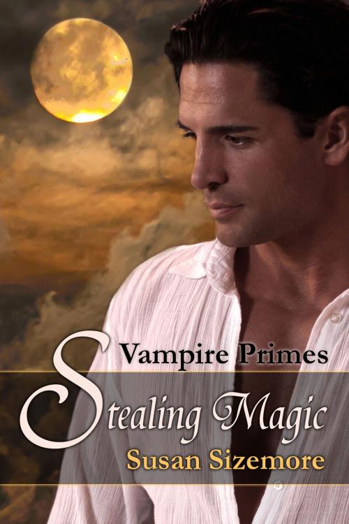 Cover of the book Stealing Magic by Susan Sizemore, Jane Kaufenberg
