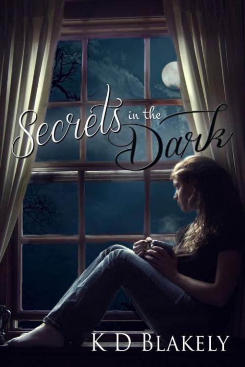 Cover of the book Secrets in the Dark by KD Blakely, KD Blakely