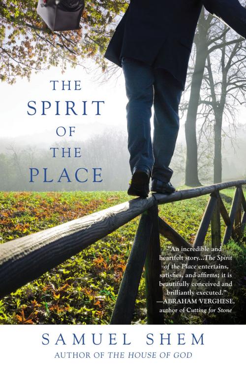 Cover of the book The Spirit of the Place by Samuel Shem, Penguin Publishing Group