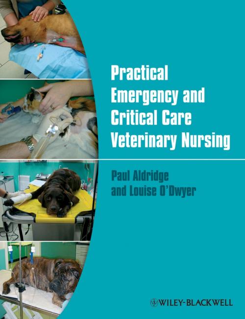 Cover of the book Practical Emergency and Critical Care Veterinary Nursing by Paul Aldridge, Louise O'Dwyer, Wiley
