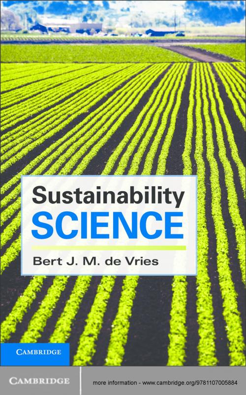 Cover of the book Sustainability Science by Bert J. M. de Vries, Cambridge University Press