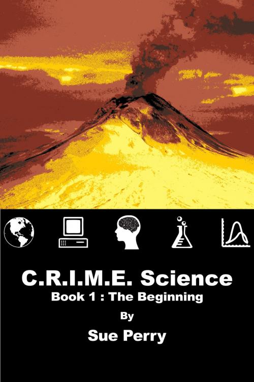 Cover of the book C.R.I.M.E. Science: Book 1: The Beginning by Sue Perry, Sue Perry