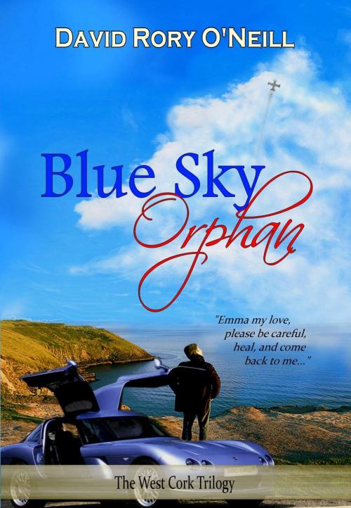 Cover of the book Blue Sky Orphan by David Rory O'Neill, David Rory O'Neill