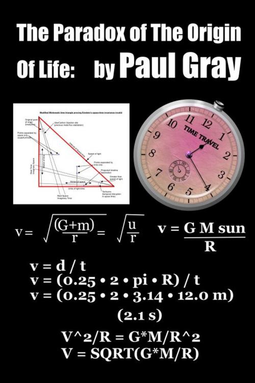 Cover of the book The Paradox of The Origin Of Life by Paul Gray, Paul Gray