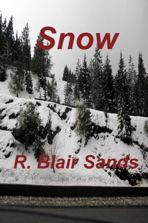 Cover of the book Snow by R. Blair Sands, R. Blair Sands