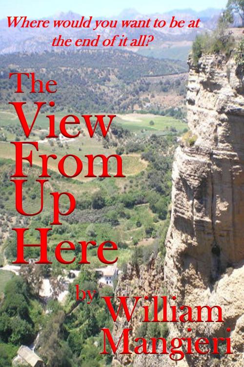 Cover of the book The View From Up Here by William Mangieri, William Mangieri