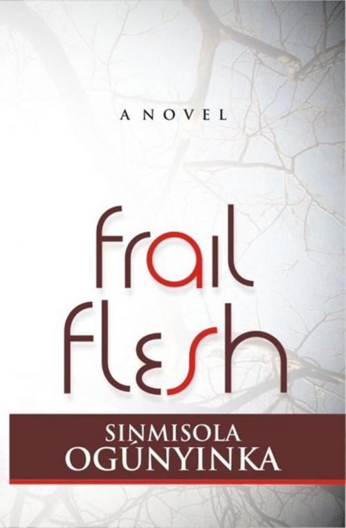 Cover of the book Frail Flesh by Sinmisola Ogunyinka, Sinmisola Ogunyinka