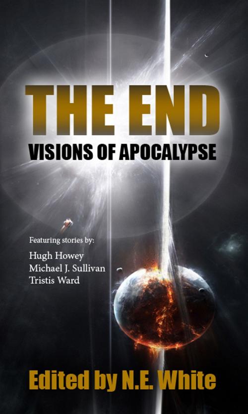 Cover of the book The End: Visions of Apocalypse by N. E. White, N. E. White