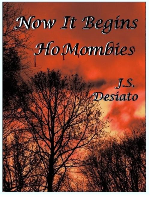 Cover of the book Now It Begins: HoMombies by J.S. Desiato, J.S. Desiato