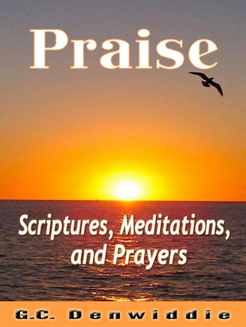 Cover of the book Praise by G.C. Denwiddie, G.C. Denwiddie