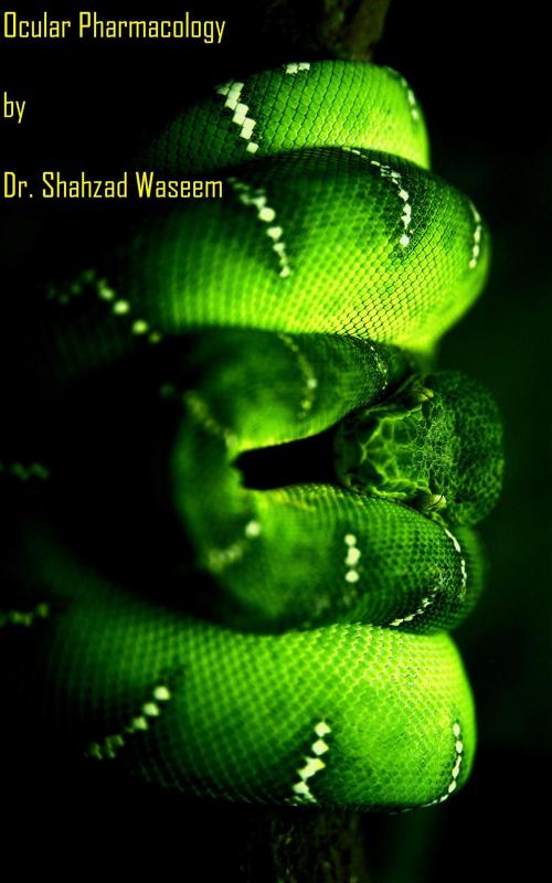 Cover of the book Ocular Pharmacology by Dr. Shahzad Waseem, Dr. Shahzad Waseem