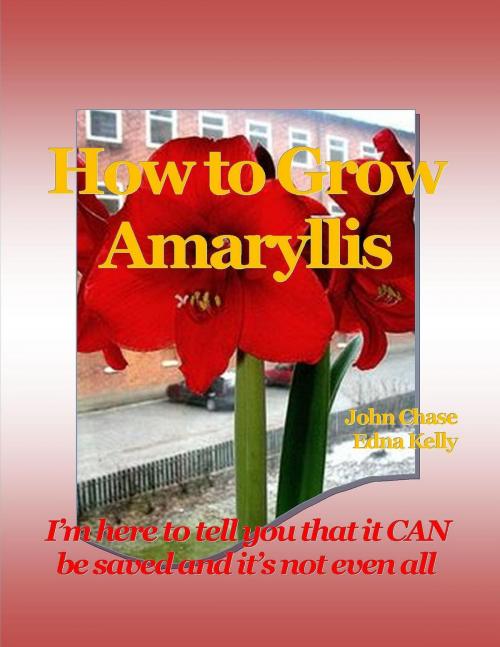 Cover of the book How to Grow Amaryllis by John Chase, John Chase