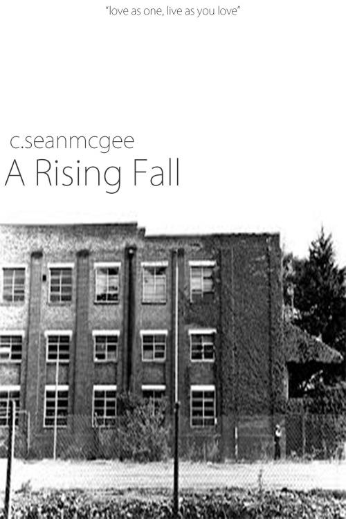Cover of the book A Rising Fall by C. Sean McGee, C. Sean McGee