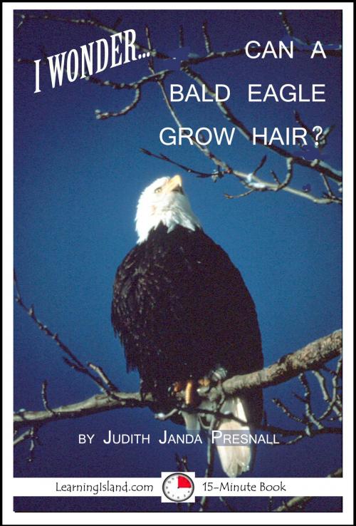 Cover of the book I Wonder... Can A Bald Eagle Grow Hair by Judith Janda Presnall, LearningIsland.com