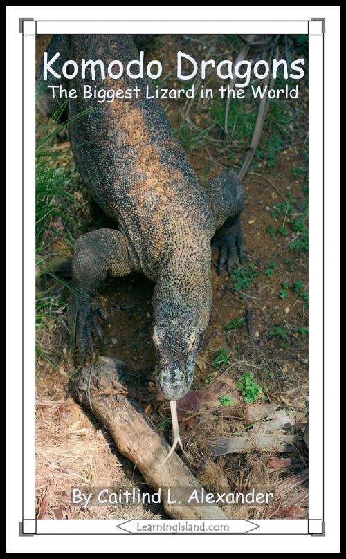 Cover of the book Komodo Dragons: The Biggest Lizard in the World by Caitlind L. Alexander, LearningIsland.com