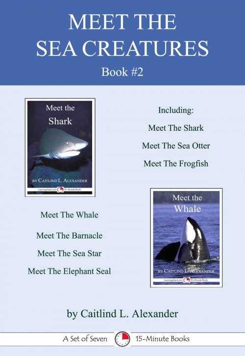 Cover of the book Meet the Sea Creatures Book #2 by Caitlind L. Alexander, LearningIsland.com
