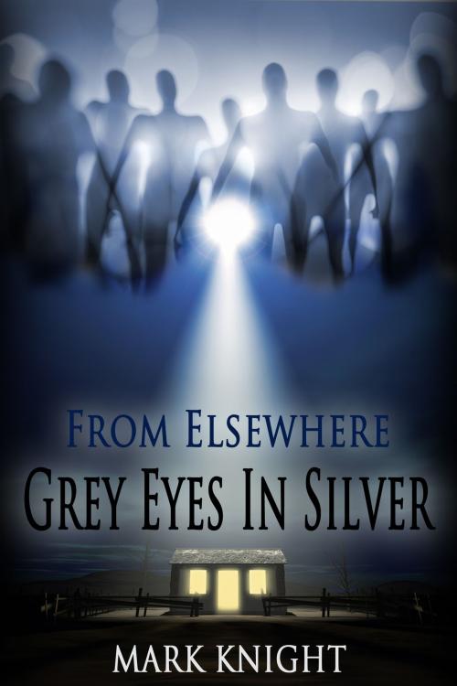 Cover of the book Grey Eyes In Silver by Mark Knight, Mark Knight