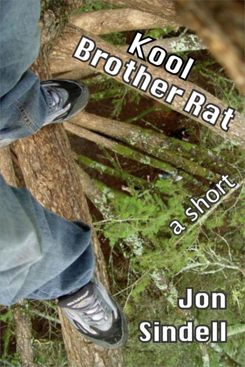 Cover of the book Kool Brother Rat by Jon Sindell, Jon Sindell