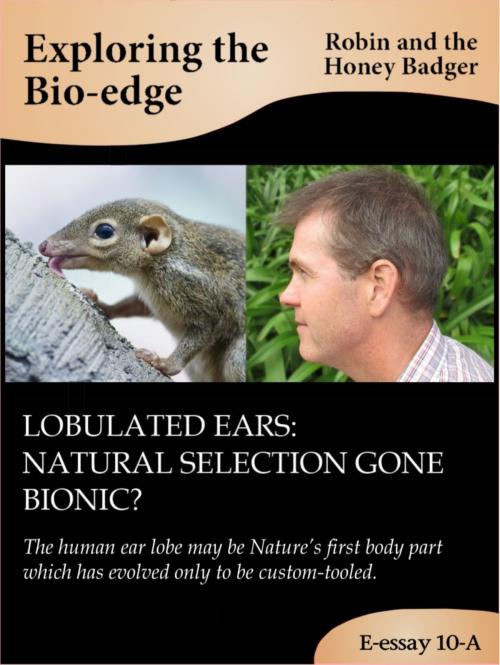 Cover of the book Lobulated ears: natural selection gone bionic? by Robin and the Honey Badger, Robin and the Honey Badger