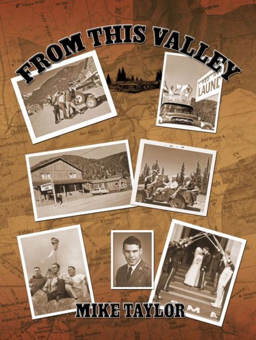 Cover of the book From This Valley by Mike Taylor, Mike Taylor