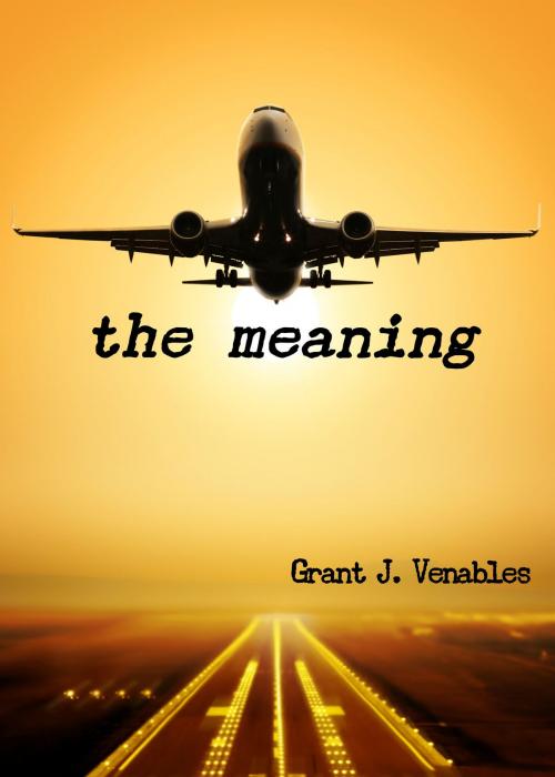 Cover of the book The Meaning by Grant J Venables, Grant J Venables