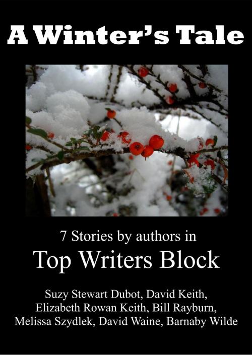 Cover of the book A Winter's Tale by Top Writers Block, Top Writers Block