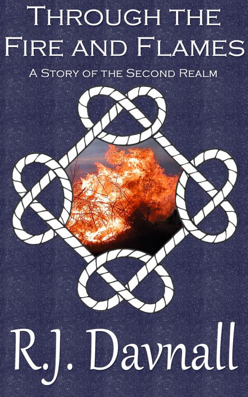 Cover of the book Through the Fire and Flames by R. J. Davnall, R. J. Davnall