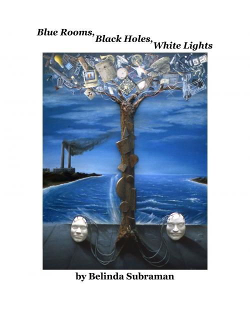 Cover of the book Blue Rooms, Black Holes, White Lights by Belinda Subraman, Unlikely Books