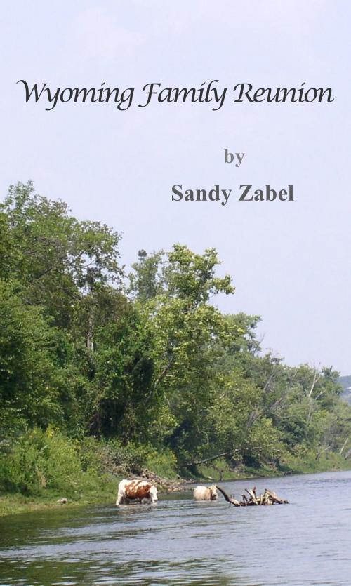 Cover of the book Wyoming Family Reunion by Sandy Zabel, Two His Glory Publishing
