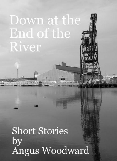 Cover of the book Down at the End of the River by Angus Woodward, Angus Woodward