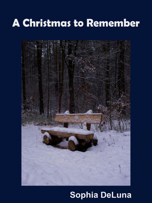 Cover of the book A Christmas to Remember by Sophia DeLuna, Sophia DeLuna