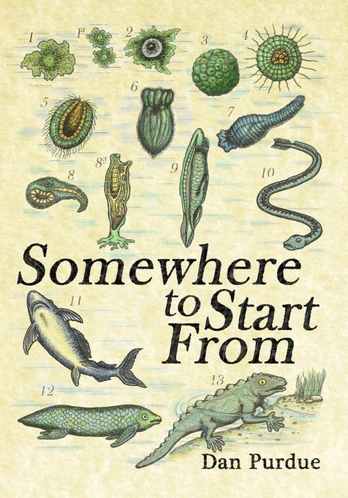 Cover of the book Somewhere to Start From by Dan Purdue, Dan Purdue