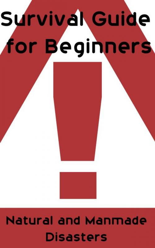 Cover of the book Survival Guide for Beginners by Vitaly Pedchenko, Vitaly Pedchenko
