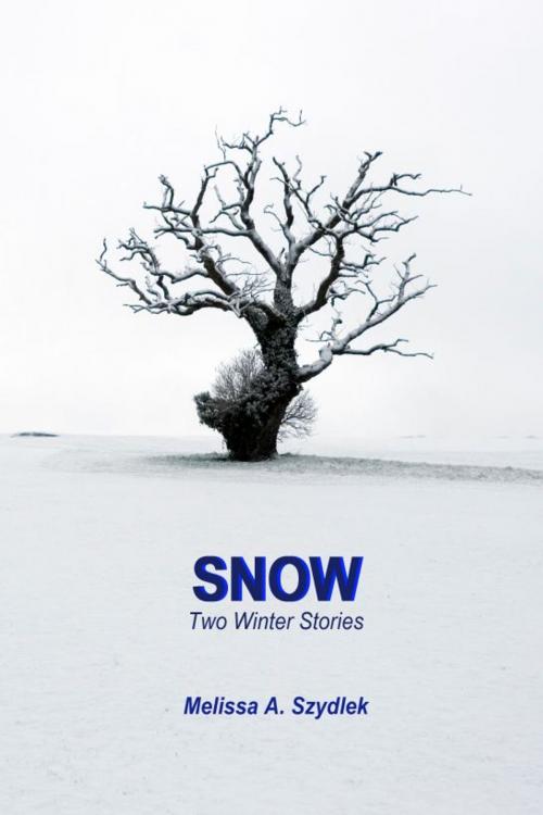 Cover of the book Snow: Two Winter Stories by Melissa Szydlek, Melissa Szydlek