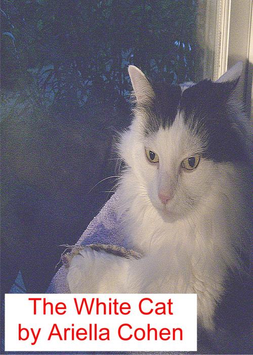 Cover of the book The White Cat by Ariella Cohen, Ariella Cohen