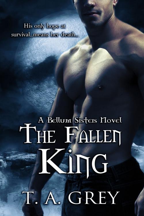 Cover of the book The Fallen King - Book #4 (The Bellum Sisters series) by T. A. Grey, Grey Ink Press LLC