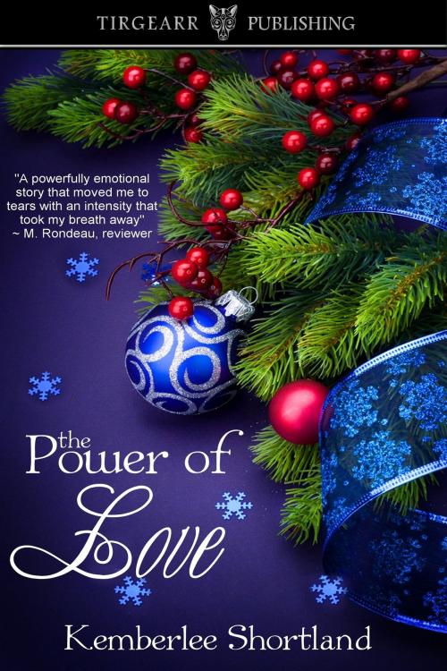 Cover of the book The Power of Love by Kemberlee Shortland, Tirgearr Publishing