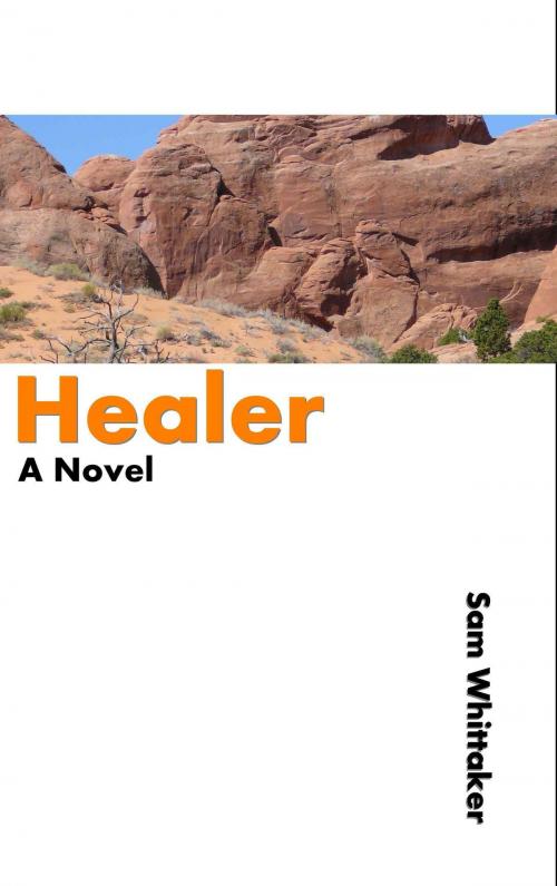 Cover of the book Healer by Sam Whittaker, Sam Whittaker