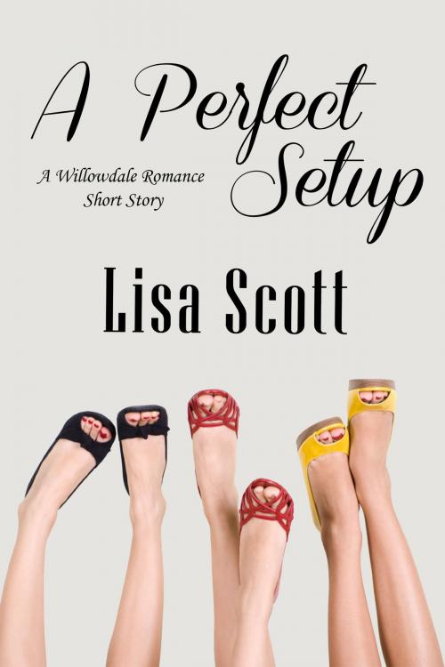 Cover of the book A Perfect Setup by Lisa Scott, Lisa Scott