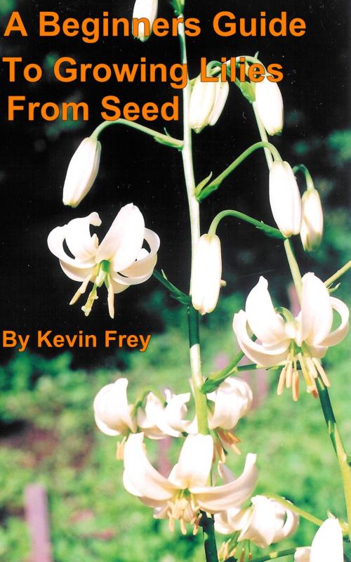 Cover of the book A Beginners Guide To Growing Lilies From Seed by Kevin Frey, Kevin Frey