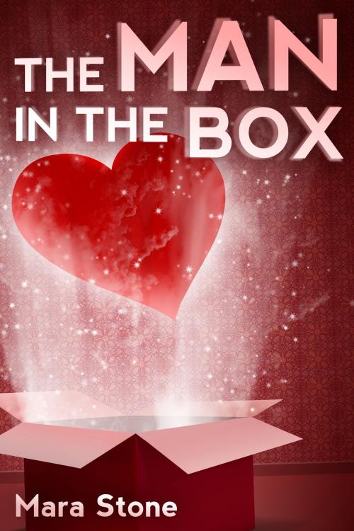 Cover of the book The Man in the Box by Mara Stone, Mara Stone