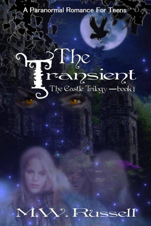 Cover of the book The Transient: The Castle Trilogy by M W Russell, M W Russell