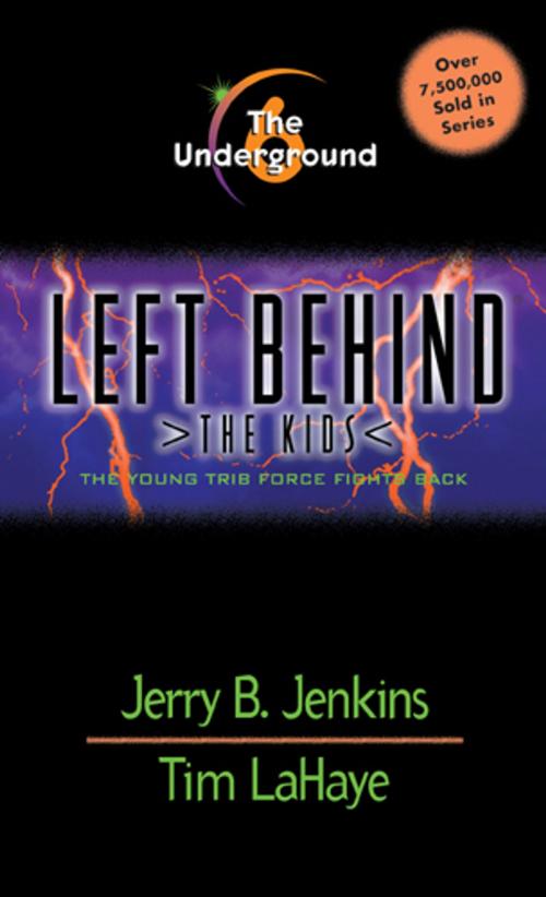 Cover of the book The Underground by Jerry B. Jenkins, Tim LaHaye, Tyndale House Publishers, Inc.