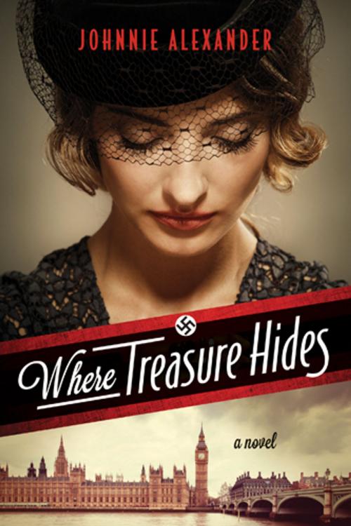 Cover of the book Where Treasure Hides by Johnnie Alexander, Tyndale House Publishers, Inc.