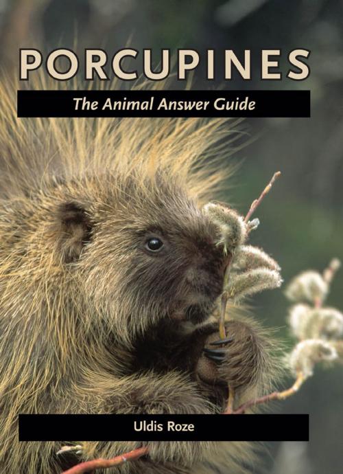 Cover of the book Porcupines by Uldis Roze, Johns Hopkins University Press